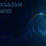 crypto30x.com gemini