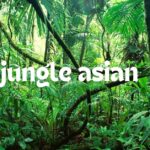 jungle asian